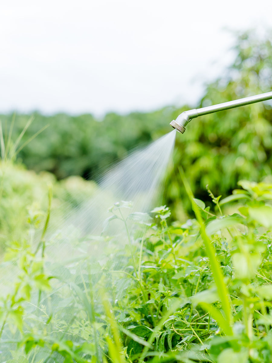 How To Get The Most Out Of Grazon Pro Applications | ProGreen