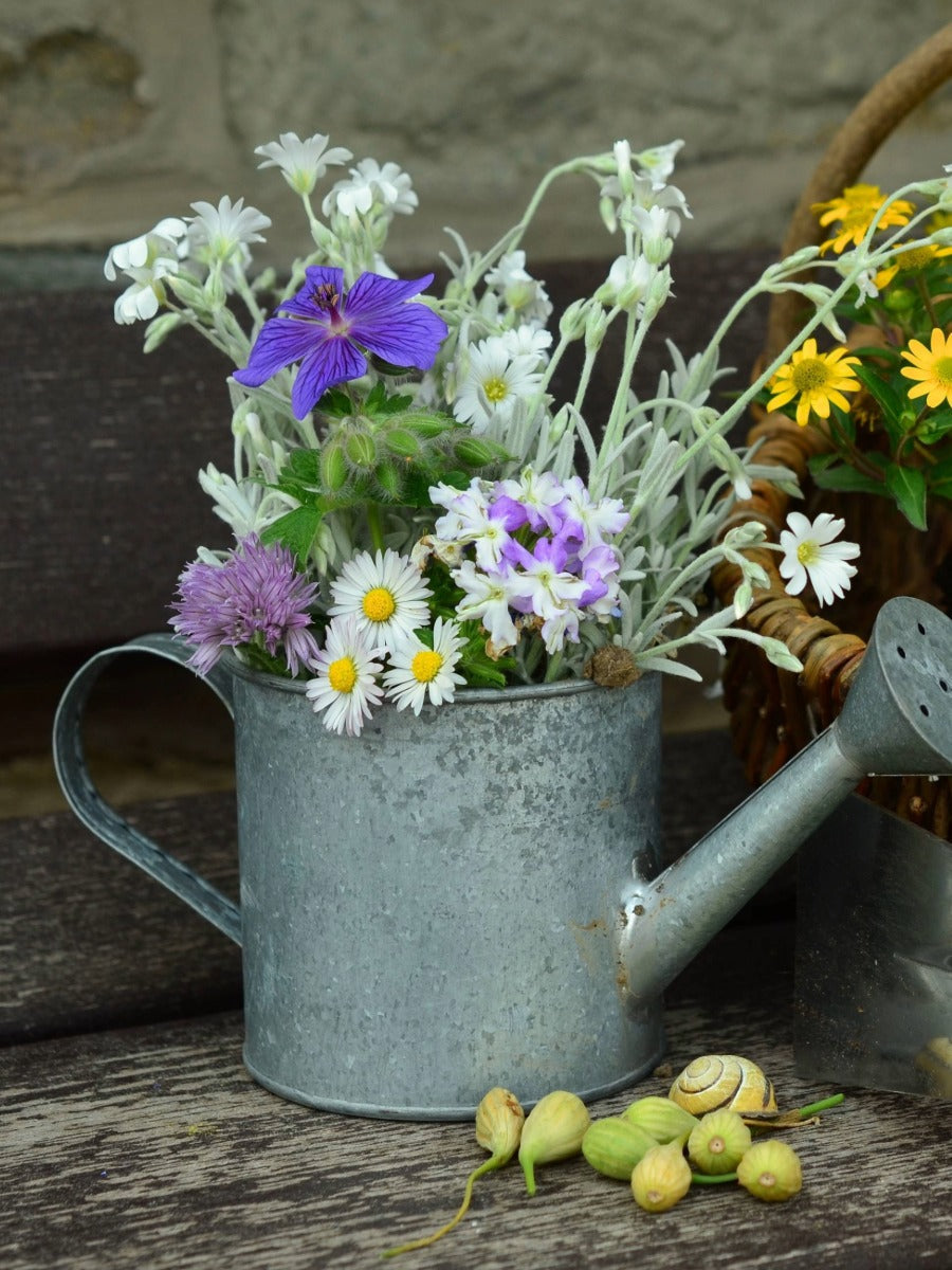 June Gardening Jobs