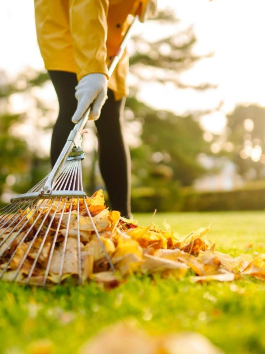 October Gardening Jobs