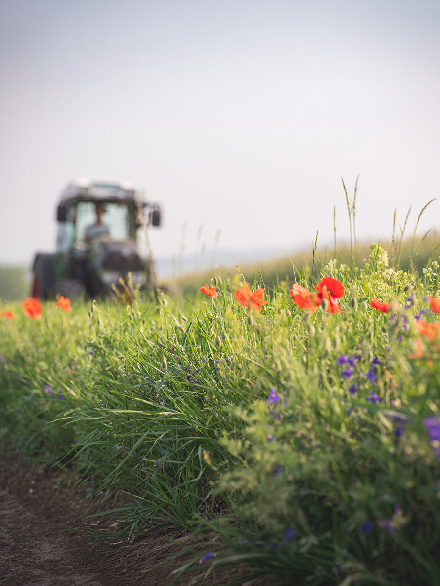 What's New in the Sustainable Farming Incentive for 2026?