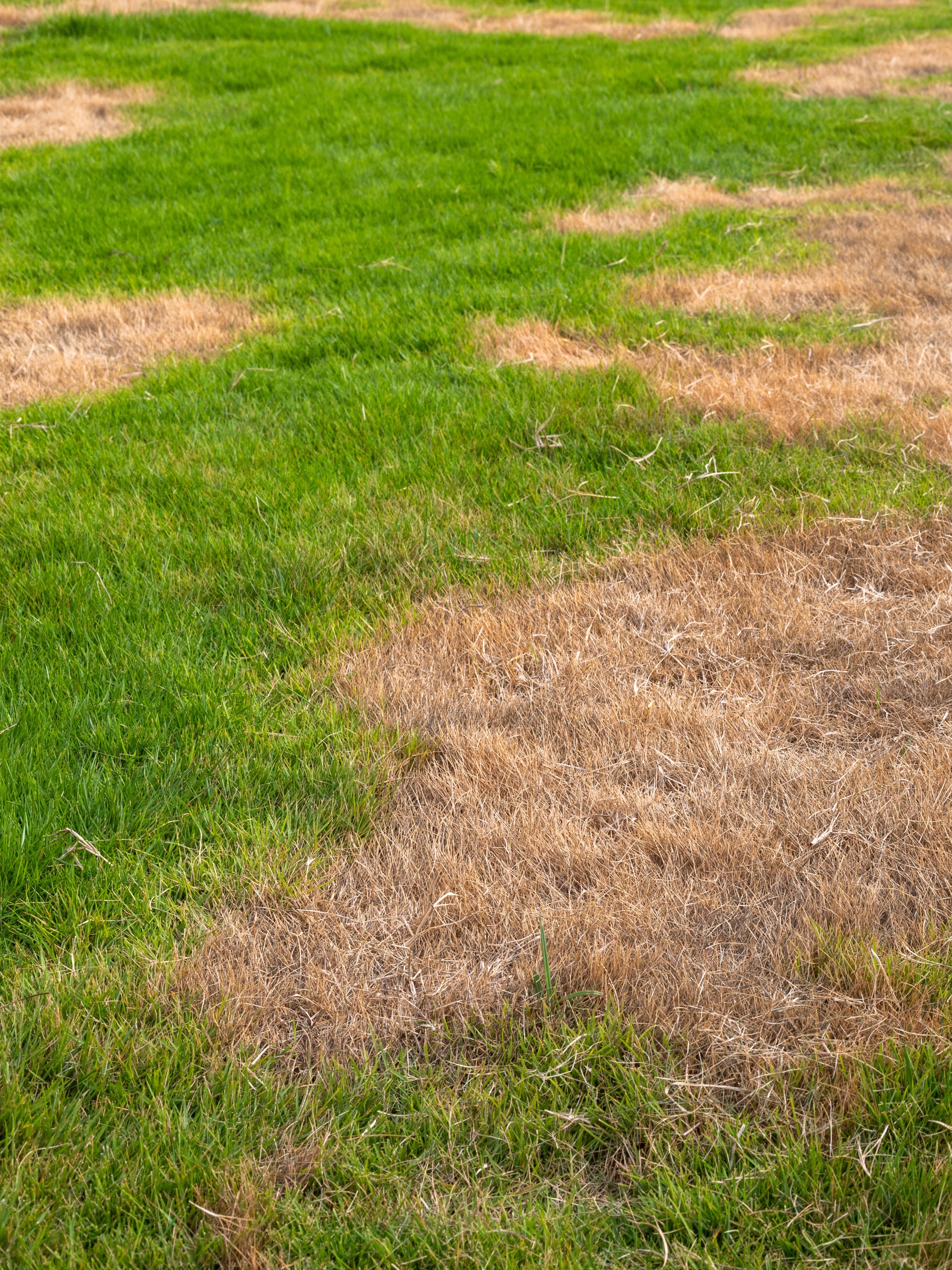 Dry Patch: What Is It and How Can I Overcome It?