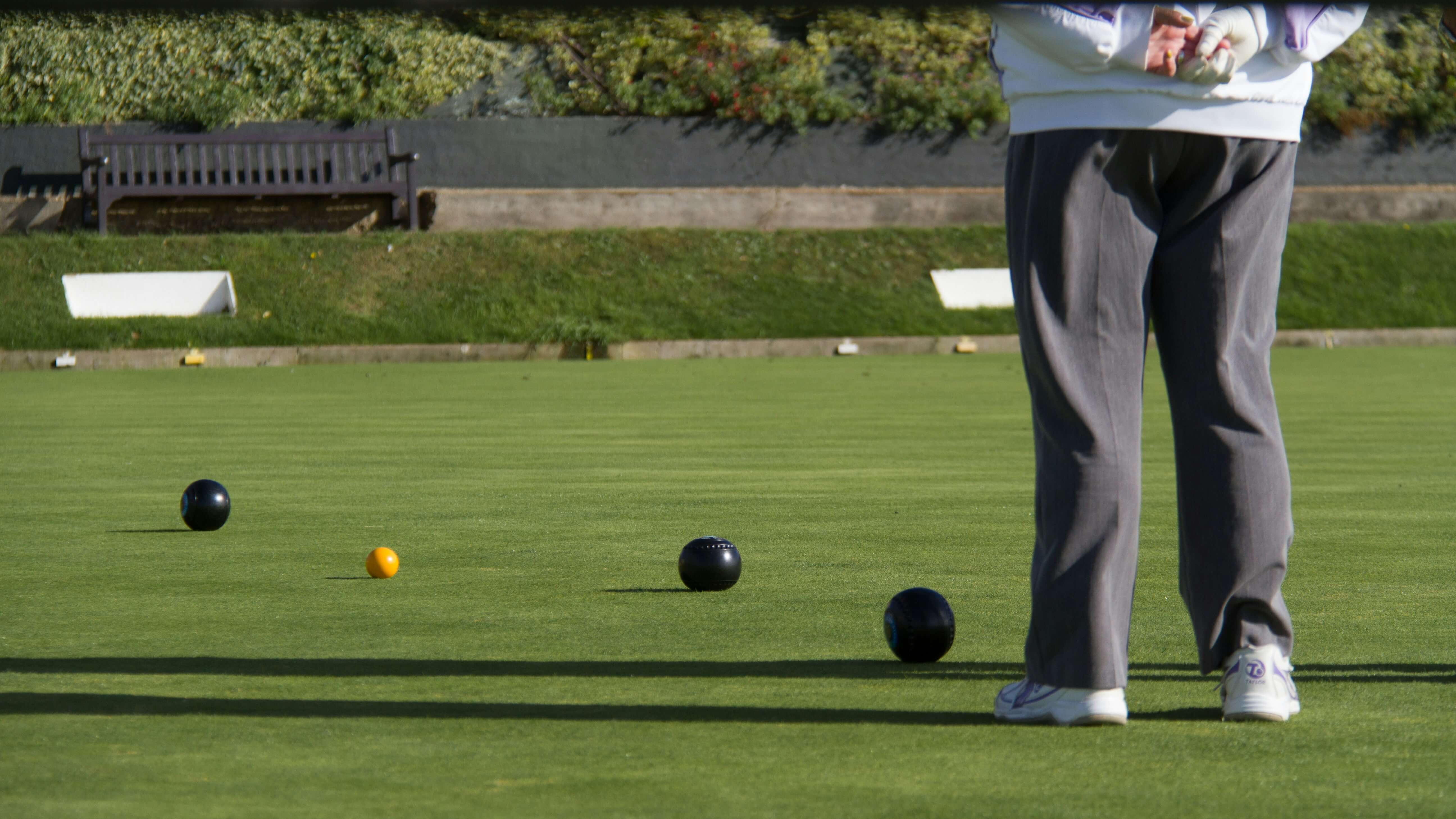 How to Grow a Bowling Green From Seed