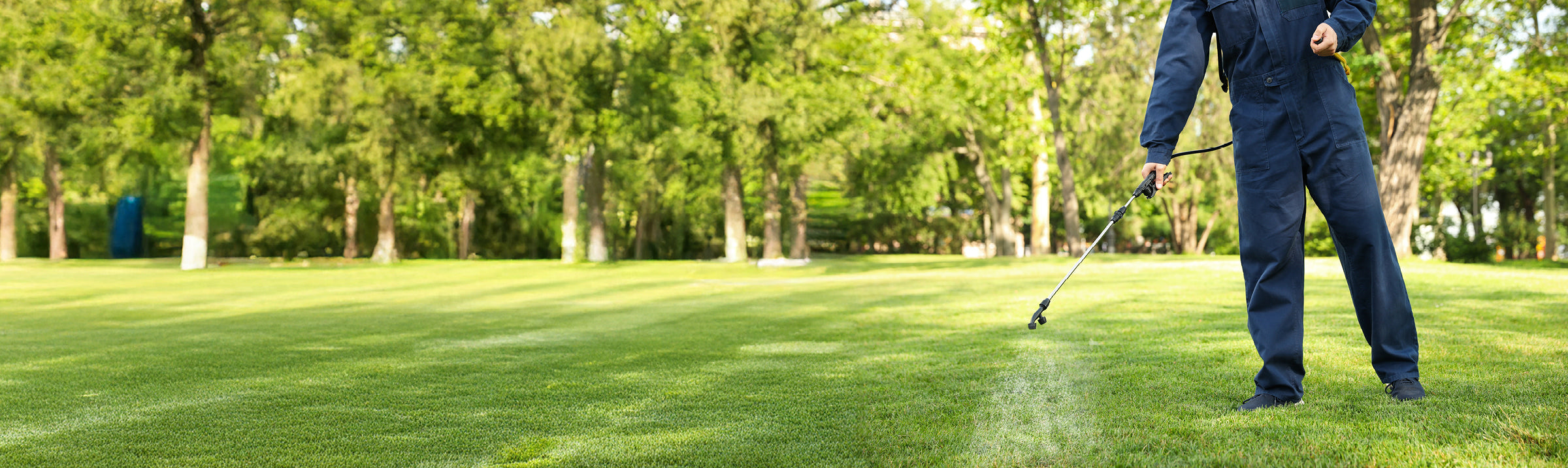Non-Professional Weed Killers | Weed Control | ProGreen