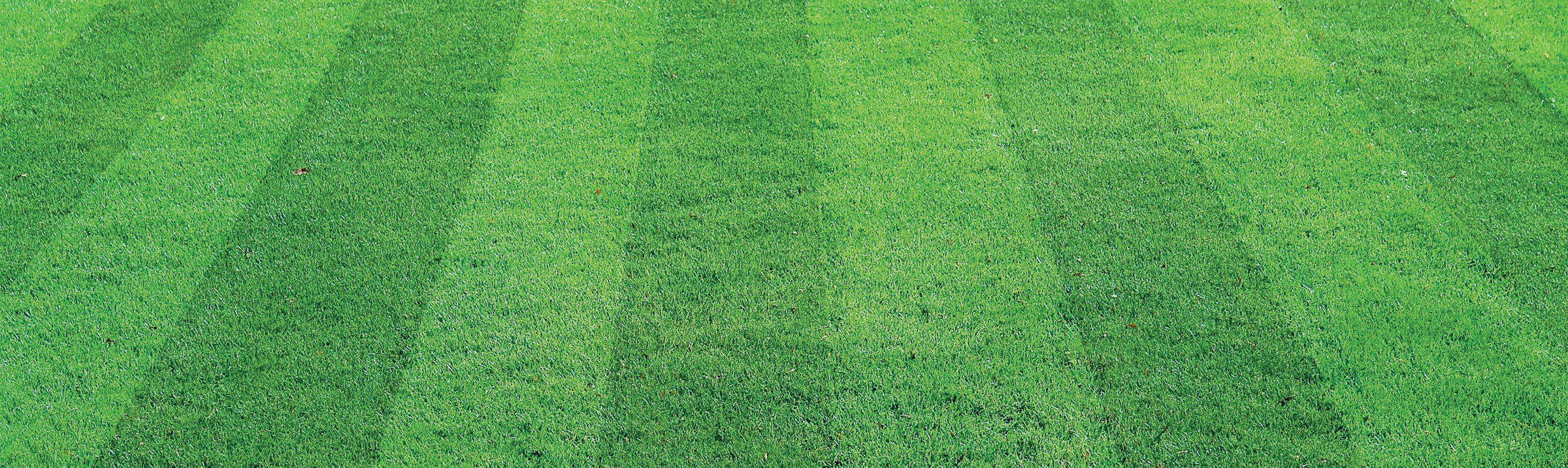 Specialist Lawn Seed | Unique Lawn Requirements | ProGreen