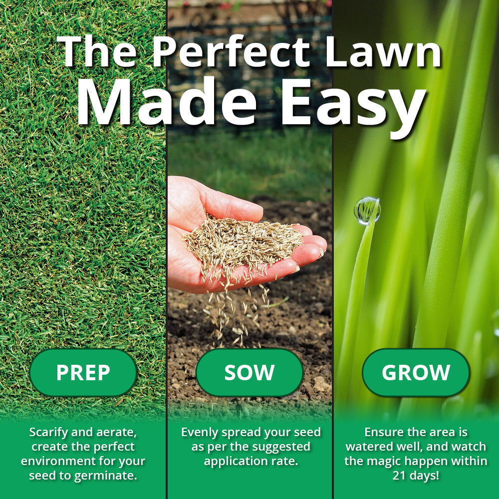 A1 Lawn Economy Grass Seed (5kg, 140-200m²)