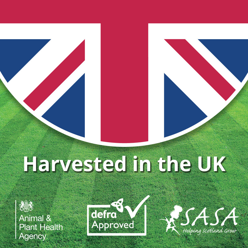 A1 Lawn Economy Grass Seed (5kg, 140-200m²)