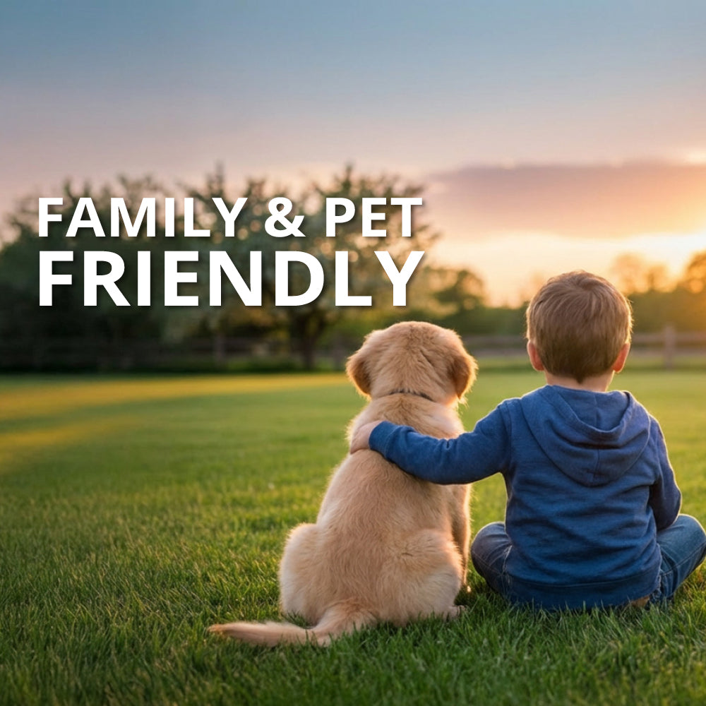 A1 Lawn Economy Grass Seed (5kg, 140-200m²)