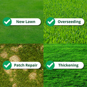A1 Sports Tees and Fairways Grass Seed without Rye (5kg, 140-200m²)