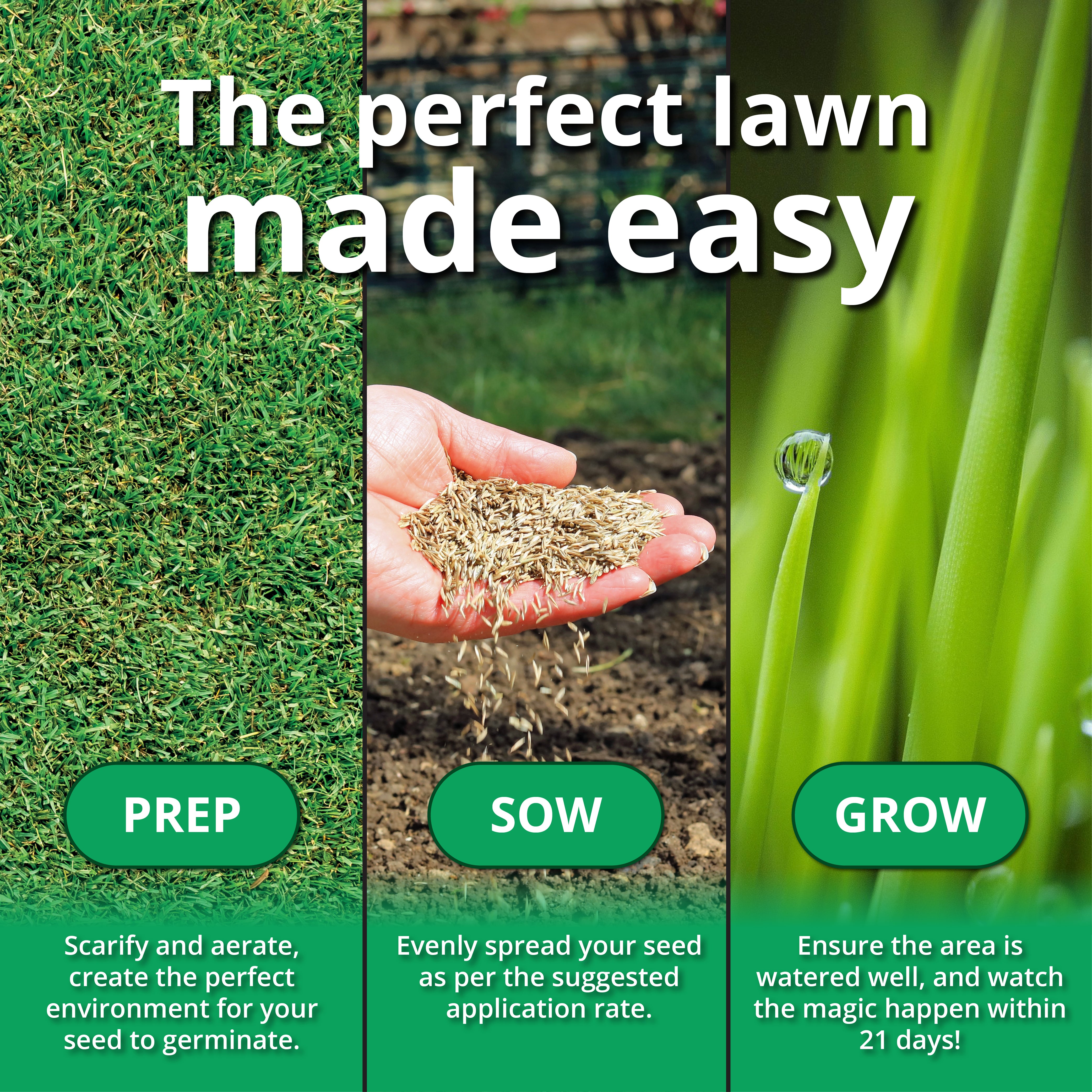 planting grass seed uk A1 Lawn Parks & Fields Grass Seed 5kg | Hard-Wearing