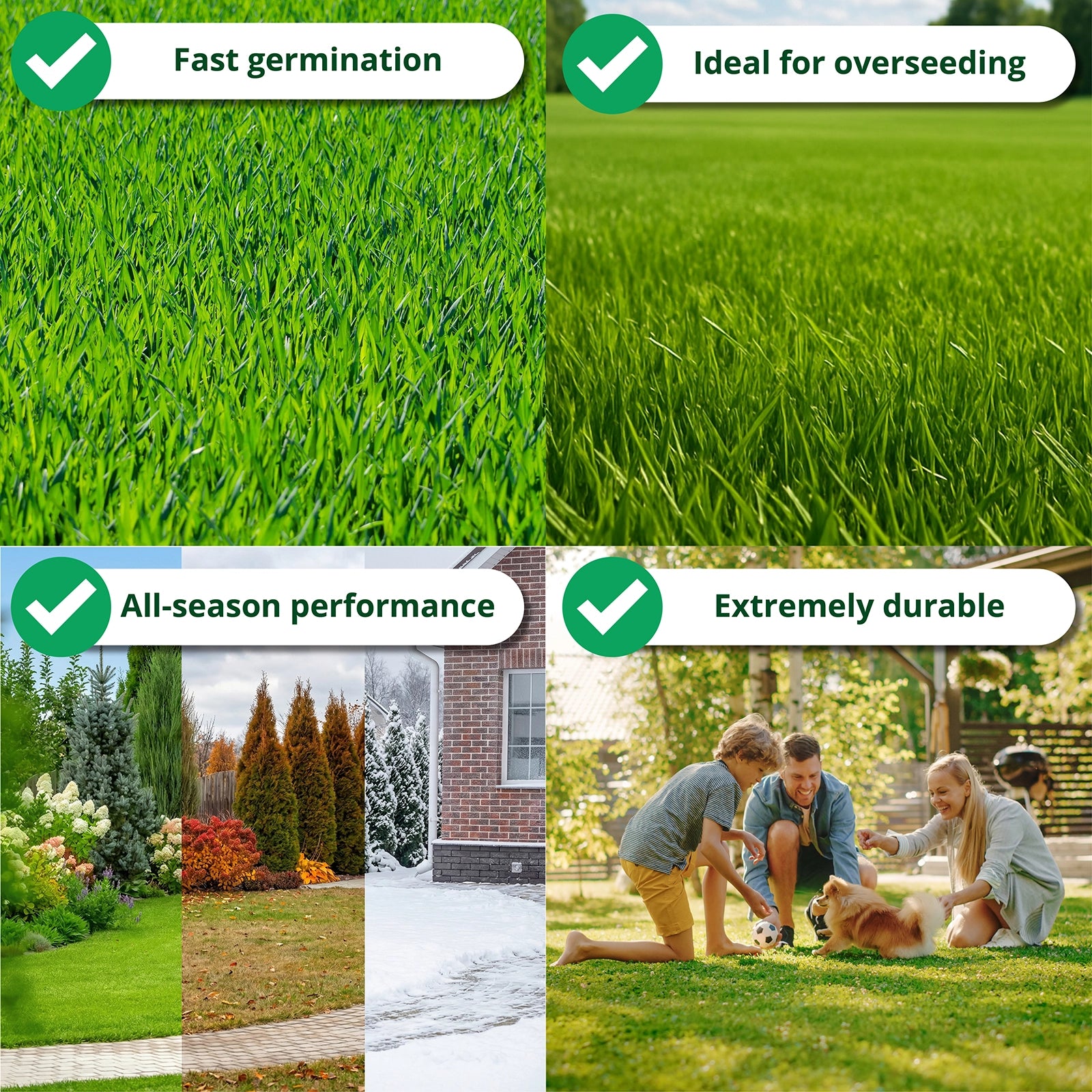 Collage of grass with text labels on fast germination, overseeding, all-season performance, and durability.