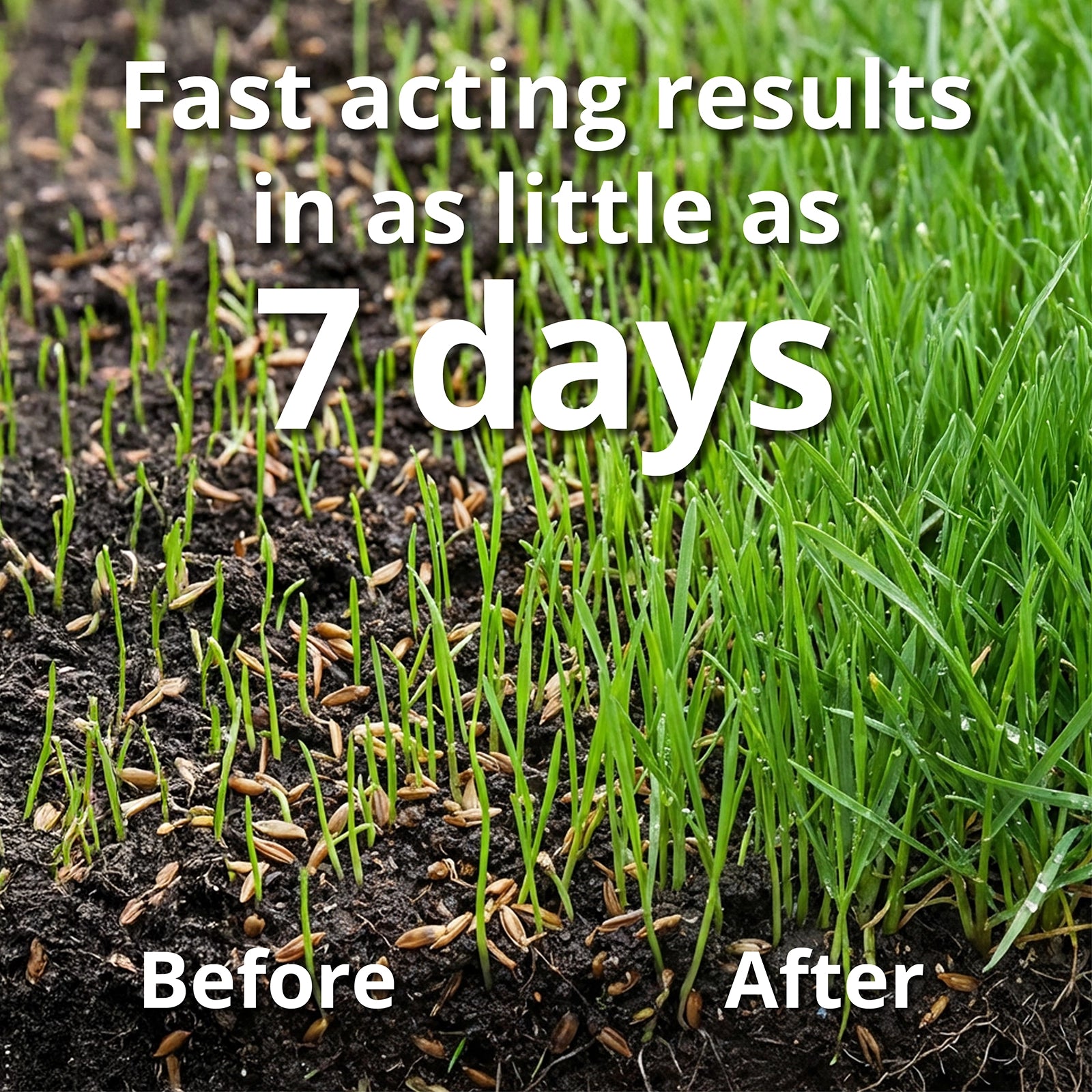 Before and after comparison of grass growth with text indicating fast acting results in 7 days.