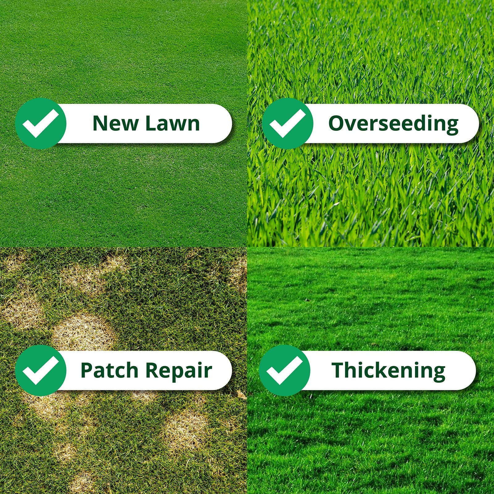 Four different lawn care scenarios labeled 'New Lawn', 'Overseeding', 'Patch Repair', and 'Thickening' on a green grass background.