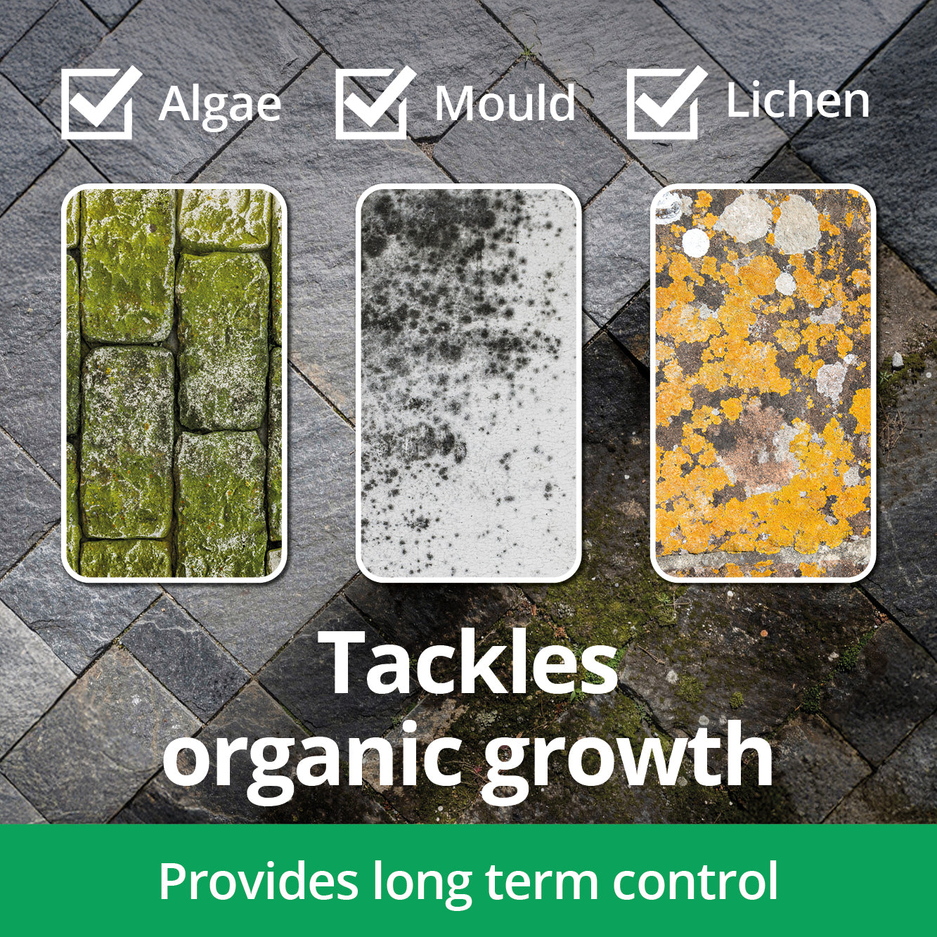 AlgoClear Home and Garden Concentrated Hard Surface Cleaner (5L, 1L)