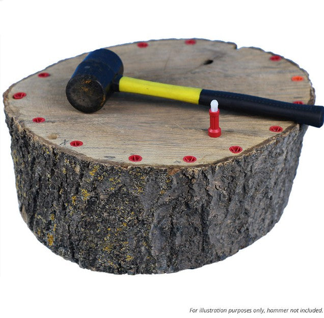 Media grid item image