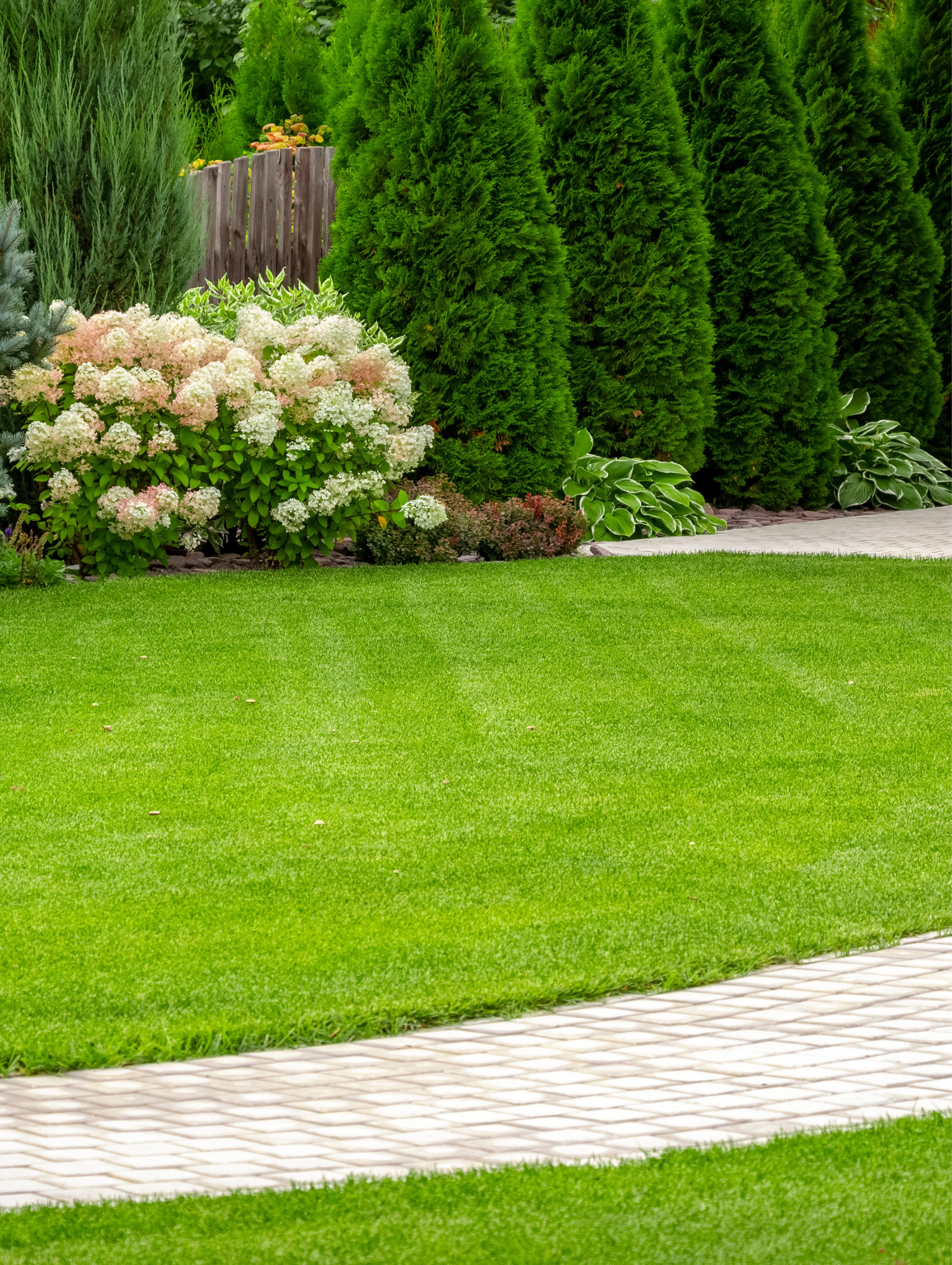 Collection panel image