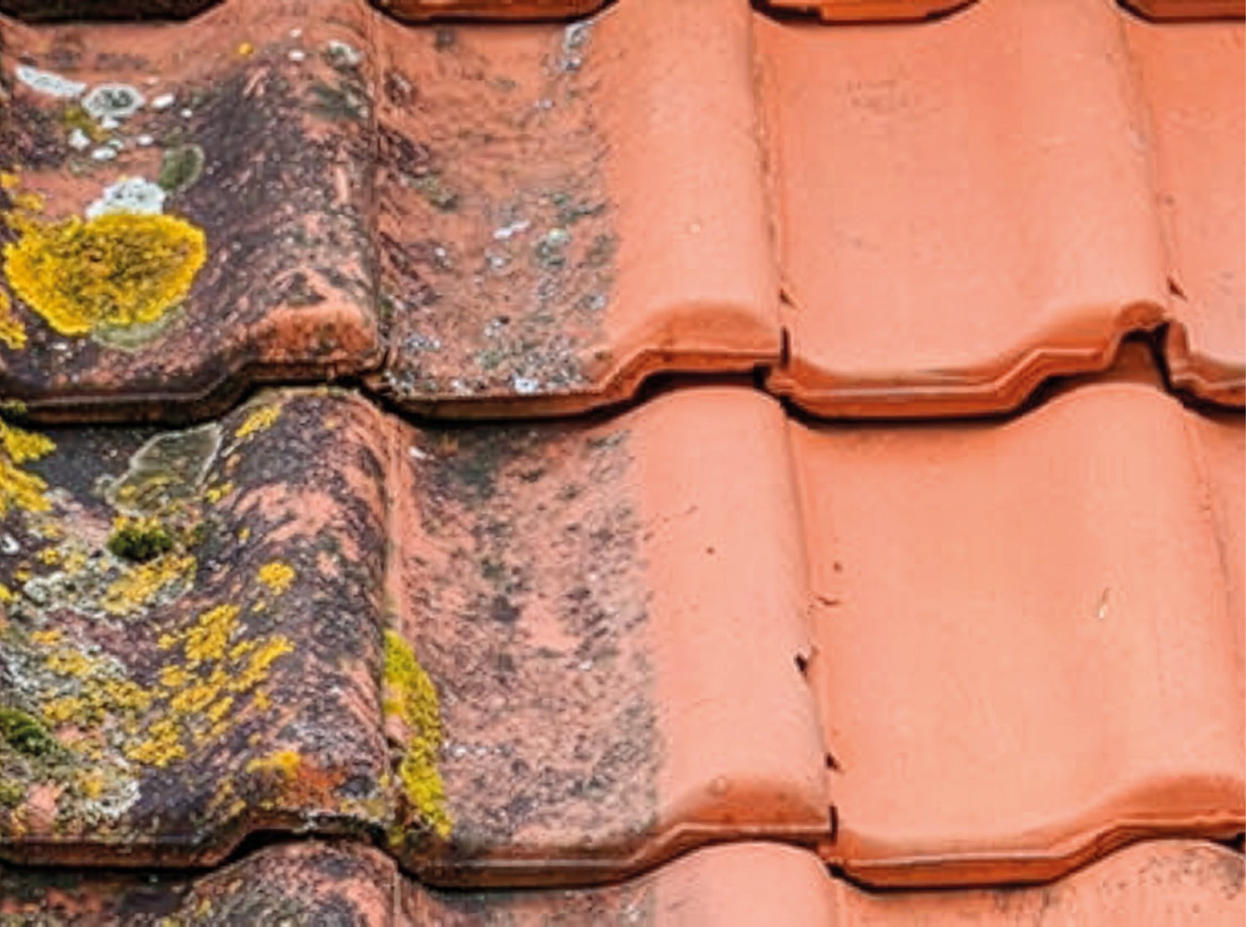 Roof tiles, half of the tiles are clean and the other half are dirty with moss and grime.