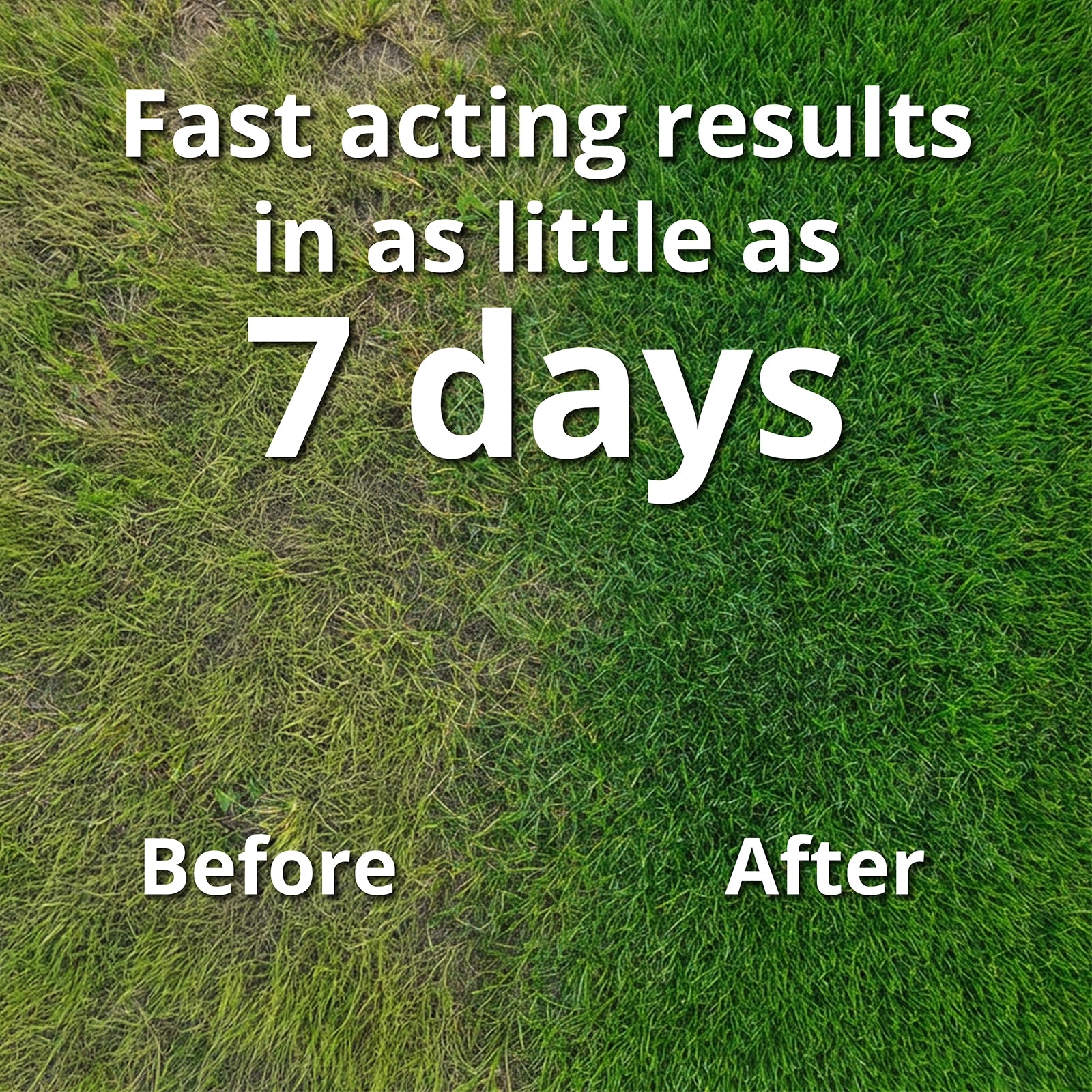 Before and after comparison of grass with text 'Fast acting results in as little as 7 days'.