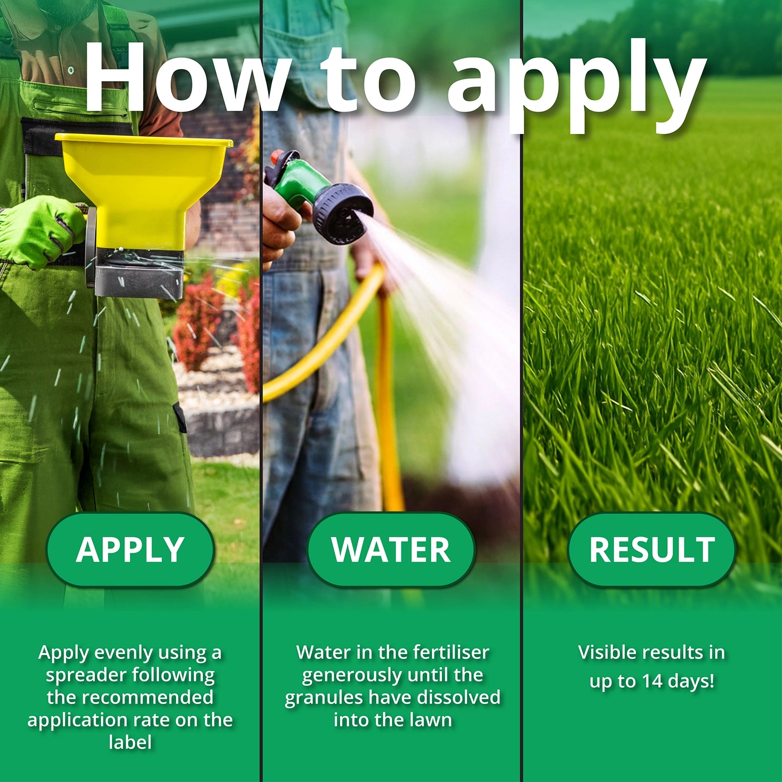 Step-by-step guide on applying lawn fertilizer with text and images of application and watering.