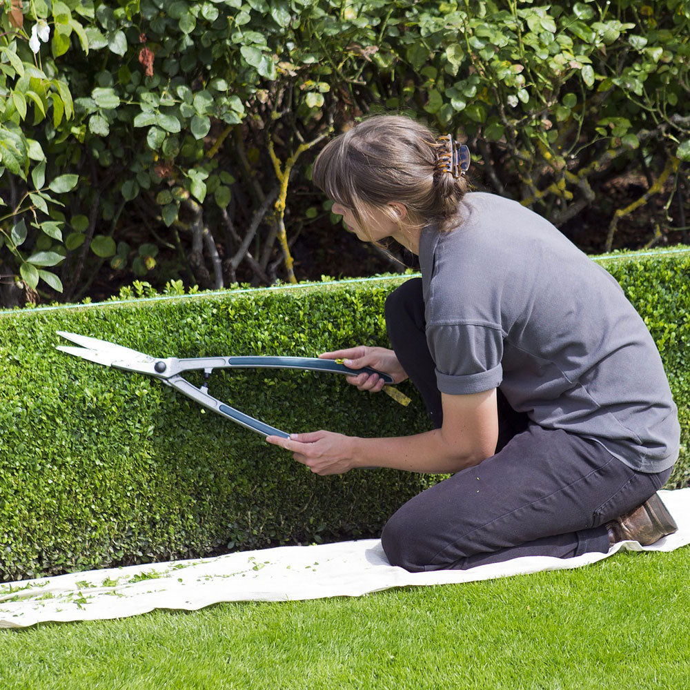 An image to show a woman pruning a hedge