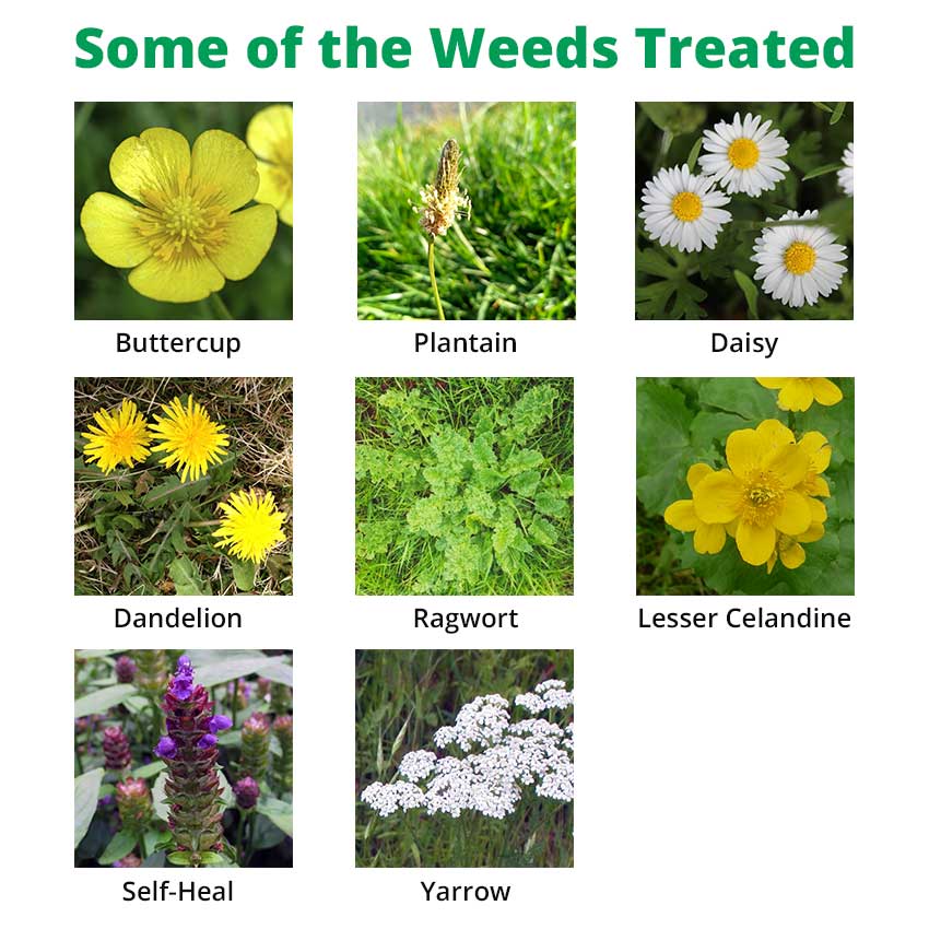 depitox herbicide Depitox 500 Herbicide | Selective Weed Killer