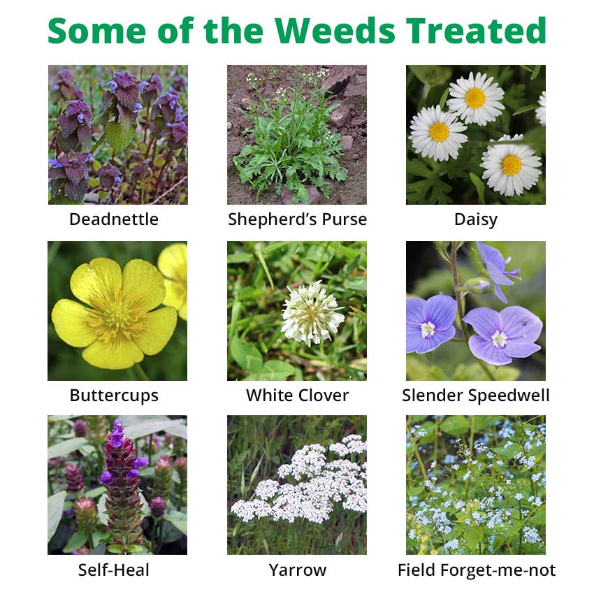 Dicophar – Selective Lawn Weed Killer (1L, 5L)