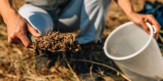 Explained: How to Take a Soil Sample For Testing