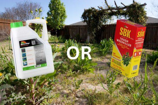 How to choose the right weed killer for your weed control needs