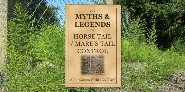 The Myths of Horsetail Removal