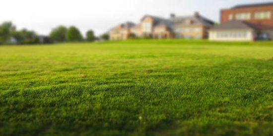 Top 5 Lawn Care Products to Make Your Grass Greener