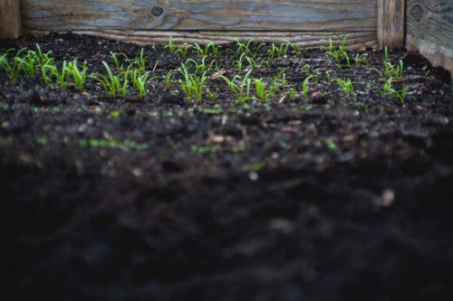 Five reasons why soil testing is important