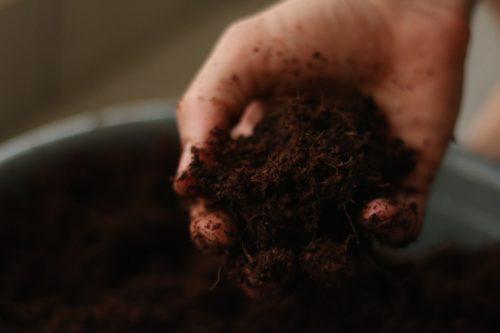 What is soil testing? A beginner's guide