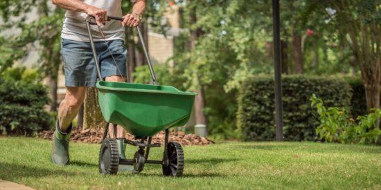 Fertilising your lawn in spring