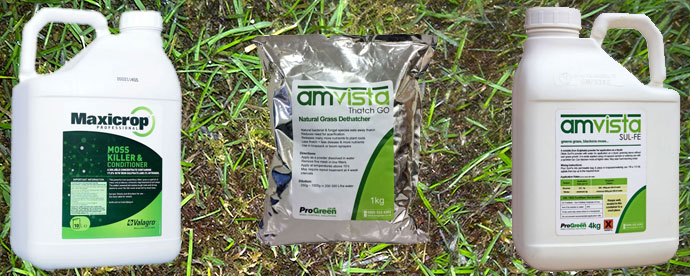 lawn moss control products
